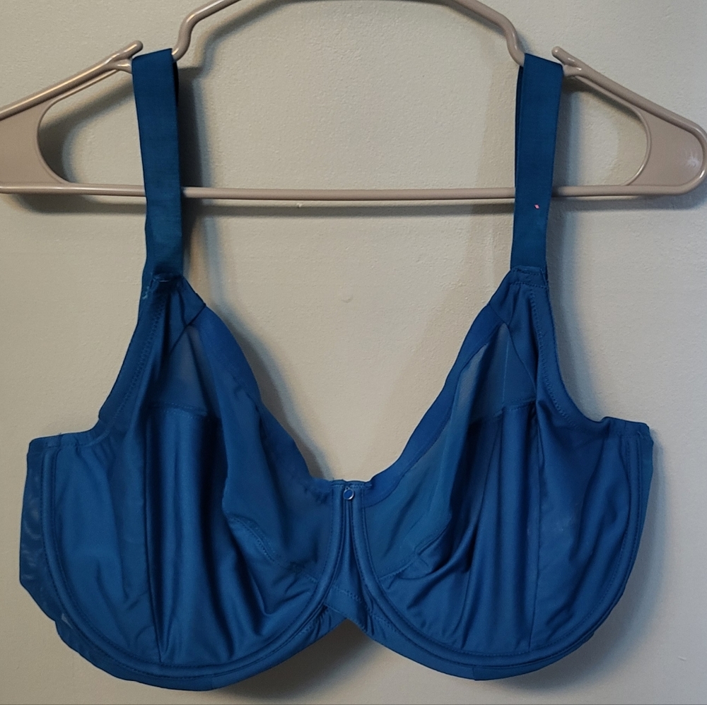 Teal Curvy Kate Bra